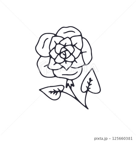 Hand drawn black and white outlined doodle rose flower 125660381