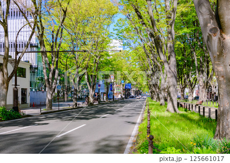 新緑の杜の都仙台を歩く 125661017