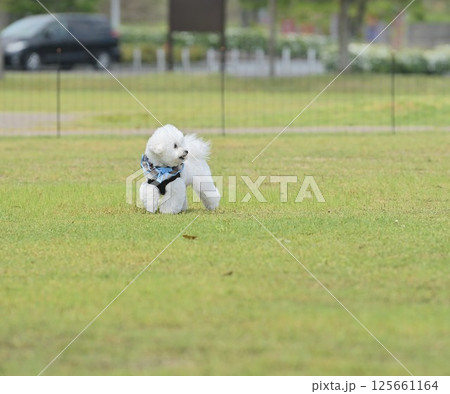 モフ会にて 125661164