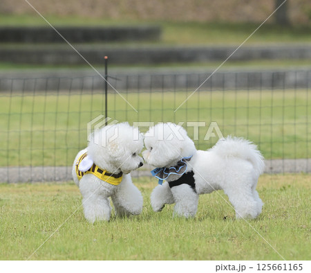 モフ会にて 125661165