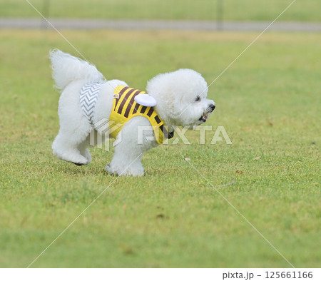 モフ会にて 125661166