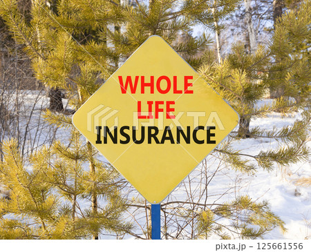 Whole life insurance symbol. Concept words Whole life insurance on beautiful yellow road sign. Beautiful snow forest background. Business whole life insurance concept. Copy space. Whole life insurance symbol. Concept words Whole life insurance on beautiful yellow road sign. Beautiful snow forest background. Business whole life insurance concept. Copy space. 125661556