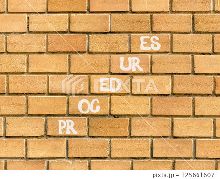Procedures symbol. Concept word Procedures on beautiful brown bricks. Beautiful brown brick wall background. Business procedures concept. Copy space. Procedures symbol. Concept word Procedures on beautiful brown bricks. Beautiful brown brick wall background. Business procedures concept. Copy space. 125661607