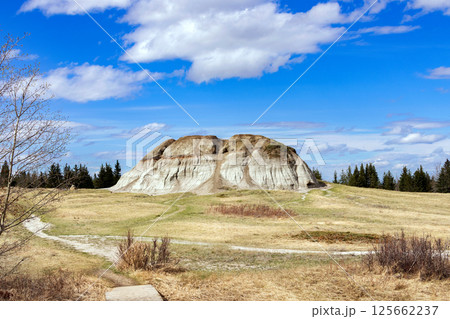 Waving trail among eroded hills in badlands in springtime. 125662237