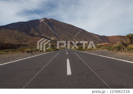 Empty road in the Teide National Park. Tenerife, Canary Islands, Spain 125662316