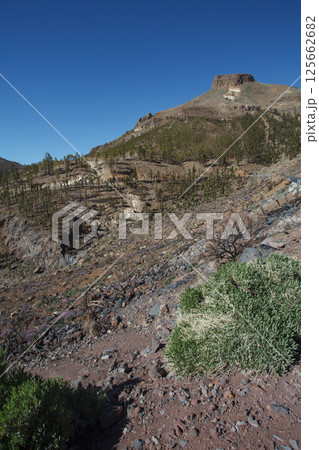 El Teide National Park landscape, Canary Islands 125662682