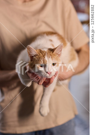 A Charming Cat, Comfortably Held in Hands, Showcasing Its Striking Eyes A Charming Cat, Comfortably Held in Hands, Showcasing Its Striking Eyes 125662882