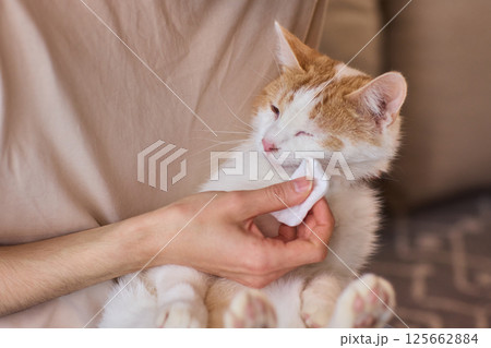 Ensuring Your Rabbits Ear Health with Gentle and Caring Cleaning Practices is Vital Ensuring Your Rabbits Ear Health with Gentle and Caring Cleaning Practices is Vital 125662884