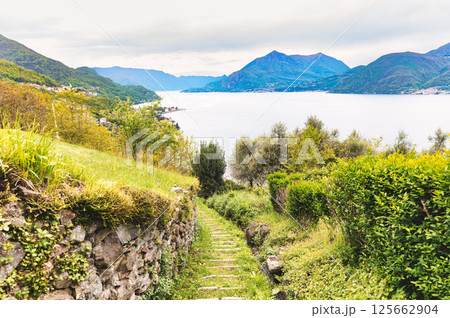 On the path of the viandanti on the banks of Lake Como On the path of the viandanti on the banks of Lake Como 125662904