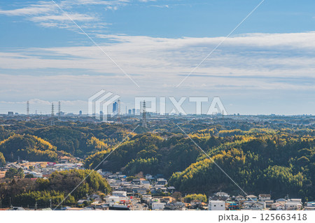 浜松市の細江公園から見た街並みと都田川(静岡県) 浜松市の細江公園から見た街並みと都田川(静岡県) 125663418