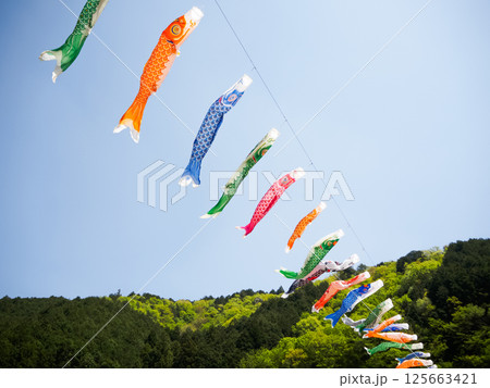 青空を泳ぐ鯉のぼり 125663421