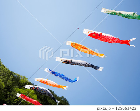 青空を泳ぐ鯉のぼり 125663422