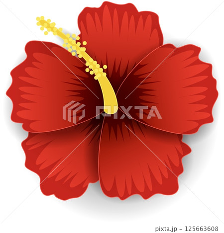 Red hawaiian hibiscus flower vector isolated icon Red hawaiian hibiscus flower vector isolated icon 125663608