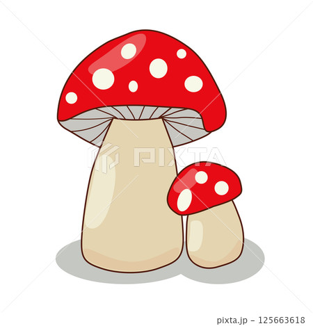 colorful, two red fly agaric mushrooms on a white background. 125663618