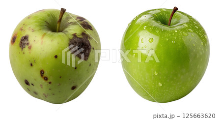 Comparison of rotten apple and fresh apple isolated on the transparent background Comparison of rotten apple and fresh apple isolated on the transparent background 125663620