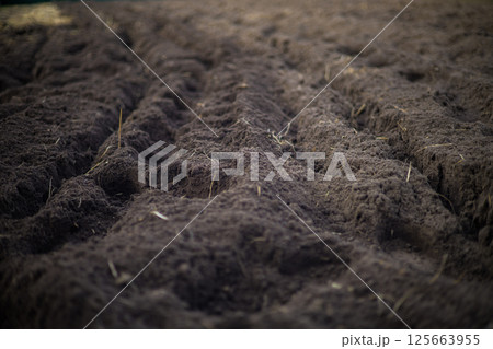 Plowed, fertile soil is ready for planting crops in the spring. A plowed field leaves furrows in the dark, fertile soil, indicating that planting season has arrived and crop growth will soon begin. Plowed, fertile soil is ready for planting crops in the spring. A plowed field leaves furrows in the dark, fertile soil, indicating that planting season has arrived and crop growth will soon begin. 125663955