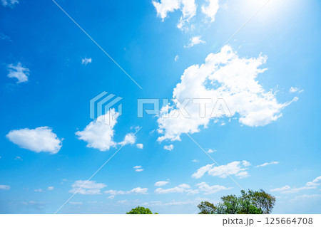 青空と雲と木立 青空と雲と木立 125664708