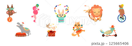 Cute Circus Animal Characters Tame Artist Performing Trick Vector Set 125665406
