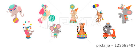 Cute Circus Animal Characters Tame Artist Performing Trick Vector Set Cute Circus Animal Characters Tame Artist Performing Trick Vector Set 125665407