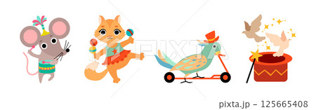 Cute Circus Animal Characters Tame Artist Performing Trick Vector Set Cute Circus Animal Characters Tame Artist Performing Trick Vector Set 125665408
