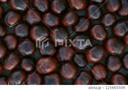 Background of red-brown chestnut fruits laid out on the asphalt 125665509