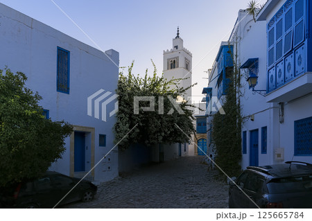 チュニジア・シディブサイド　路地に建つ白いモスク / Sidi Bou Said, Tunisia 125665784