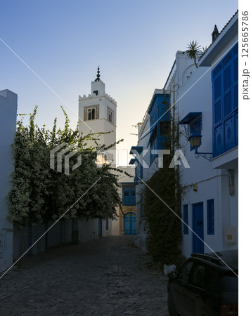 チュニジア・シディブサイド　路地に建つ白いモスク / Sidi Bou Said, Tunisia 125665786