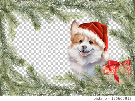 Corgi dog in Santa hat, peeking through a frame of pine branches, hand drawn illustration, perfect for holiday greetings. 125665912