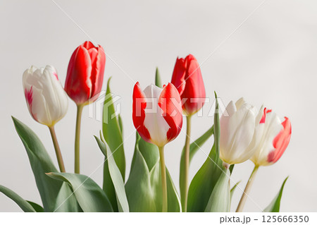 美しいチューリップの花束 125666350