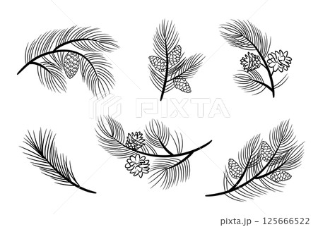 Pine branches, pine needles, cones. Set of vector elements in sketch style for the design of holiday cards, patterns, banners. Pine branches, pine needles, cones. Set of vector elements in sketch style for the design of holiday cards, patterns, banners. 125666522