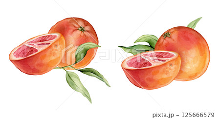 Set of composition with slice and whole Grapefruit. Hand drawn watercolor illustration of orange tropical citrus fruit on white isolated background. Half grapefruit with green leaves Set of composition with slice and whole Grapefruit. Hand drawn watercolor illustration of orange tropical citrus fruit on white isolated background. Half grapefruit with green leaves 125666579
