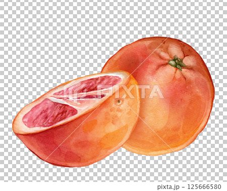 Composition with slice and whole Grapefruit. Hand drawn watercolor illustration of orange tropical citrus fruit on white isolated background. Half grapefruit 125666580