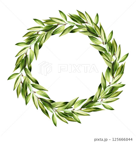 Green bay leaf wreath, logo. Watercolor hand drawn Branch of laurel, olive illustration isolated on transparent background. For designers, menu, decoration, food blog, ecofriendly branding. Healthy 125666844