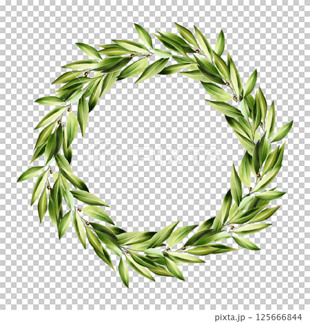 Green bay leaf wreath, logo. Watercolor hand drawn Branch of laurel, olive illustration isolated on transparent background. For designers, menu, decoration, food blog, ecofriendly branding. Healthy 125666844
