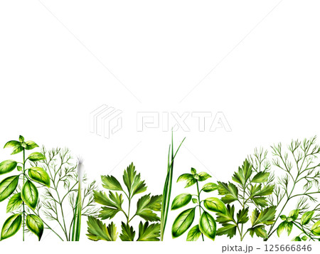 Fresh green frame, banner dill, basil, green onions. Watercolor hand drawn template, oregano herb isolated on transparent background. illustration. For designers, menu, decoration, food blog 125666846