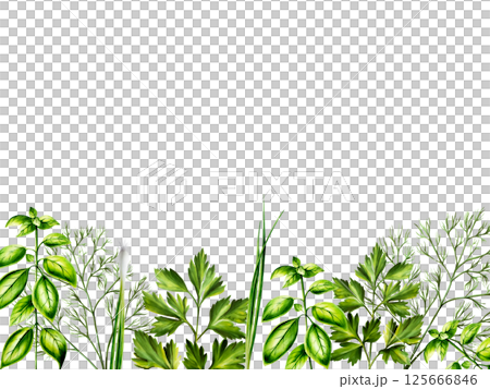 Fresh green frame, banner dill, basil, green onions. Watercolor hand drawn template, oregano herb isolated on transparent background. illustration. For designers, menu, decoration, food blog 125666846