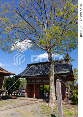 吾嬬神社 境内 群馬県中之条町 吾嬬神社 境内 群馬県中之条町 125667278