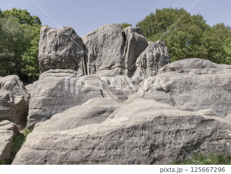 An unusual outcrop of natural sandstone rocks on Wellington Rocks. 125667296