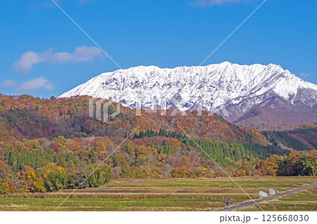 奥大山の紅葉と冠雪の大山 125668030