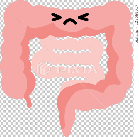 Illustration of a normal intestine 125669017