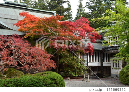 紅葉に包まれた高野山 福智院 紅葉に包まれた高野山 福智院 125669332