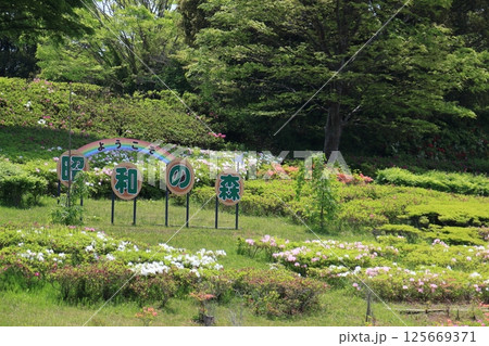 昭和の森公園のエントランス:千葉県千葉市 昭和の森公園のエントランス:千葉県千葉市 125669371