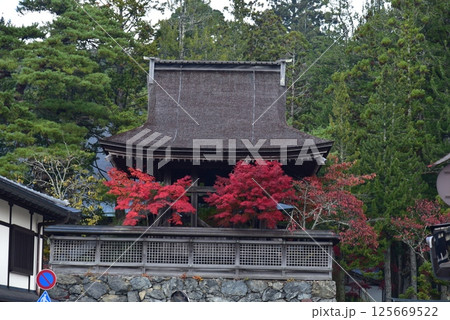 高野山　六時鐘楼と紅葉 125669522