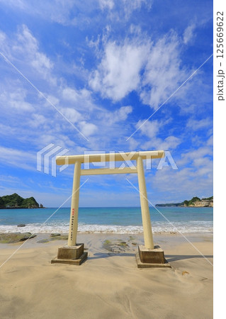 美しい砂浜と青い海 美しい砂浜と青い海 125669622