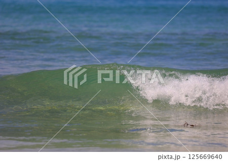 美しい砂浜と青い海 美しい砂浜と青い海 125669640