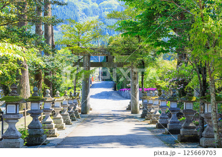 初夏の嵐山瀧神社　大分県玖珠郡 125669703