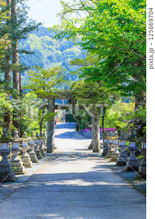 初夏の嵐山瀧神社　大分県玖珠郡 125669704