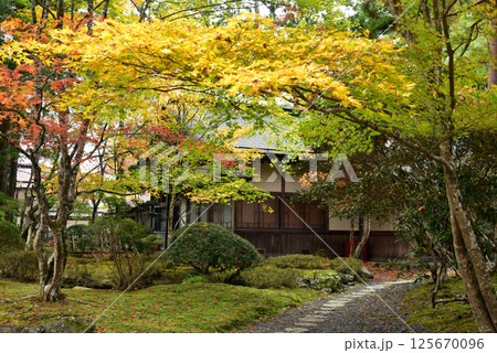 紅葉に包まれた高野山霊宝館の庭園 125670096