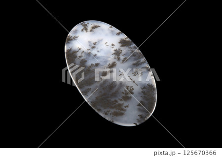 デンドリティック・アゲート 風景を宿す石 デンドリティック・アゲート 風景を宿す石 125670366