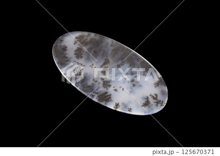 デンドリティック・アゲート 風景を宿す石 125670371